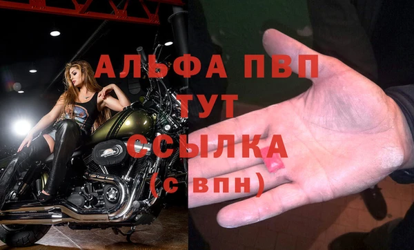 стаф Горняк