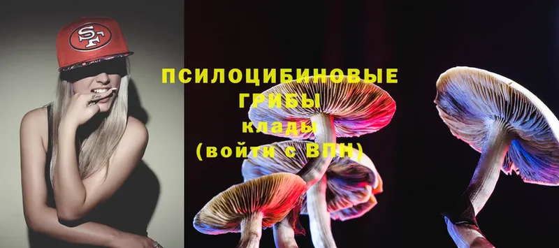 Галлюциногенные грибы MAGIC MUSHROOMS  Петушки 